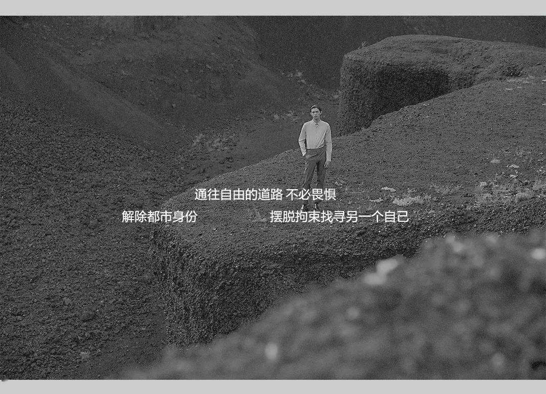 奥利维亚收养猫